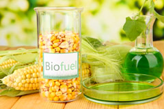 Terfyn biofuel availability