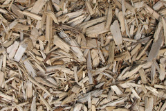 biomass boilers Terfyn