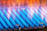 Terfyn gas fired boilers